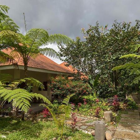 Ara Garden Inn, Accommodation, Yoga Studio & Spa Ruteng Kültér fotó