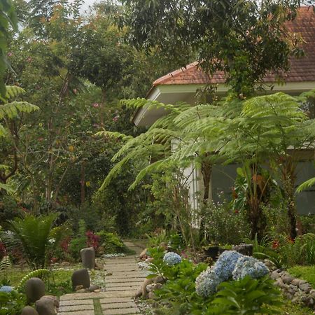 Ara Garden Inn, Accommodation, Yoga Studio & Spa Ruteng Kültér fotó