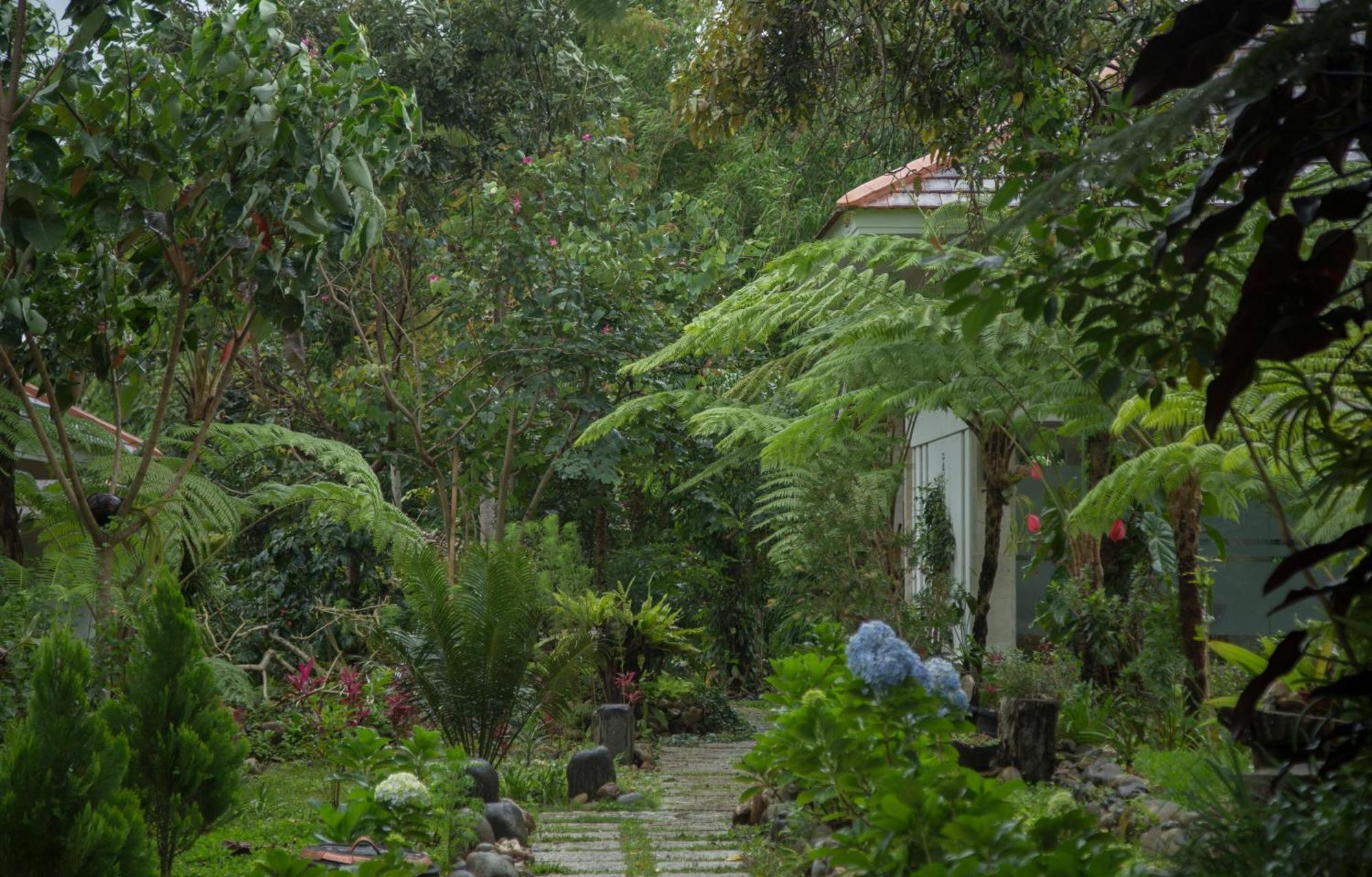 Ara Garden Inn, Accommodation, Yoga Studio & Spa Ruteng Kültér fotó